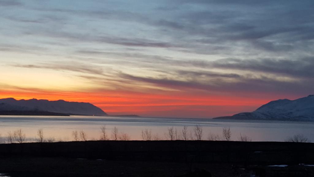 Hotel Sveinbjarnargerdi Svalbarthseyri Εξωτερικό φωτογραφία