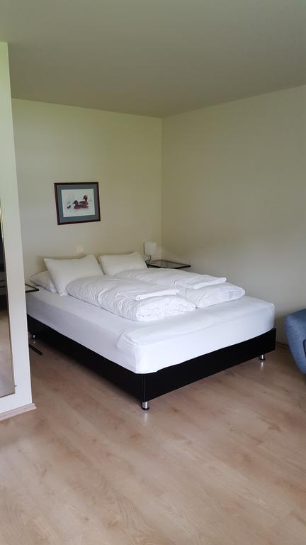 Hotel Sveinbjarnargerdi Svalbarthseyri Εξωτερικό φωτογραφία