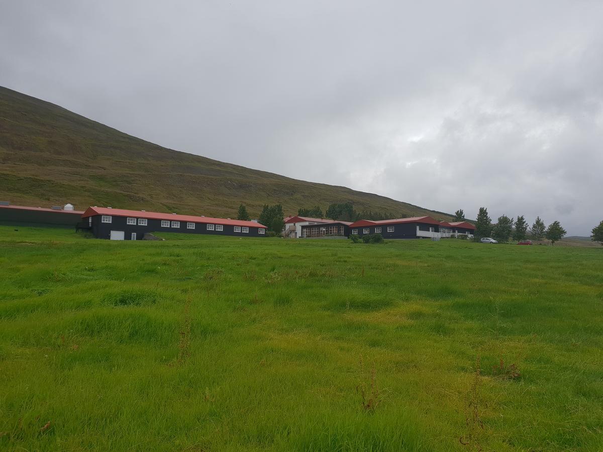 Hotel Sveinbjarnargerdi Svalbarthseyri Εξωτερικό φωτογραφία